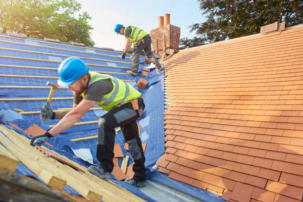 Best Commercial Roofing Services  in Louisburg, KS