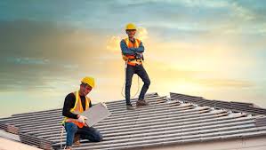 Best Roof Moss and Algae Removal  in Louisburg, KS